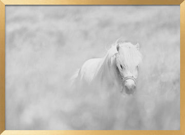 Dreamy White Pony | Poster - Gold Frame Interior