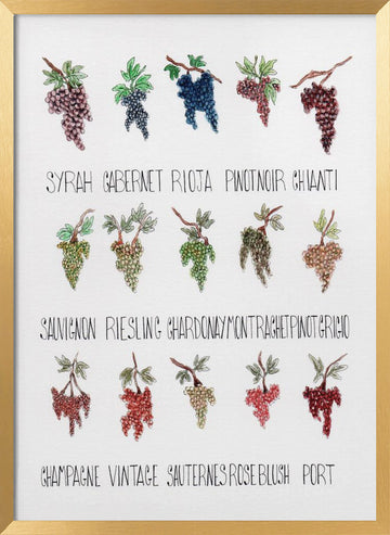 Wine Grape Varieties | Poster - Gold Frame Interior