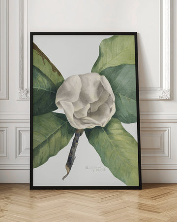 Southern Magnolia (1918) | Poster - Room Interior 1