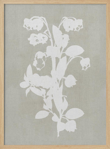 White Botanical Blooms | Poster - Wood Frame Interior