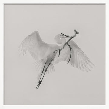 White Egret Carrying Branch | Poster - White Frame Interior