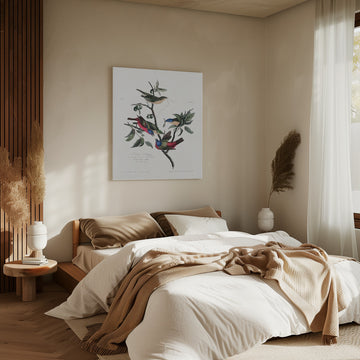 Painted Finch From Birds of America (1827) | Canvas - Room Interior 2