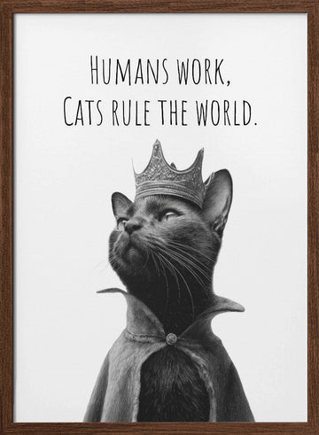 Majestic Cat King | Poster - Walnut Frame Interior