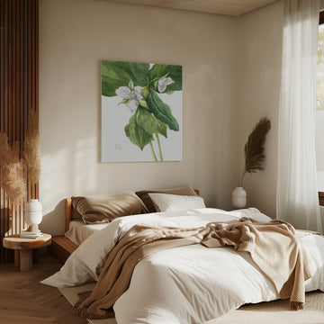Wake Robin (1939) | Canvas - Room Interior 2