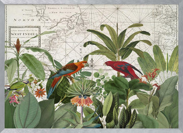 Tropical Map Exploration | Poster - Silver Frame Interior