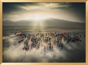Wild Horses in Dust | Poster - Gold Frame Interior