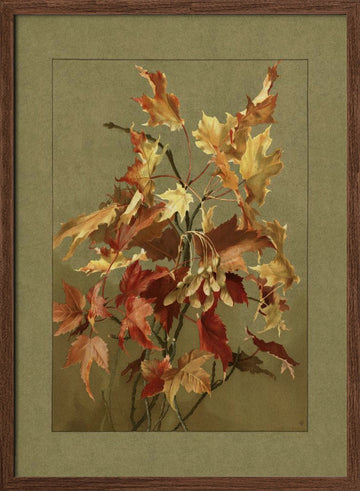 Autumn Leaves, Maple | Poster - Walnut Frame Interior