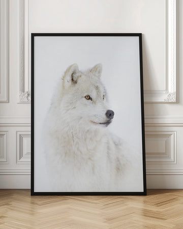 Majestic Arctic Wolf | Poster - Room Interior 1
