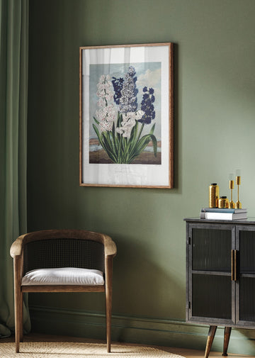 Hyacinths from The Temple of Flora (1807) | Poster - Room Interior 2
