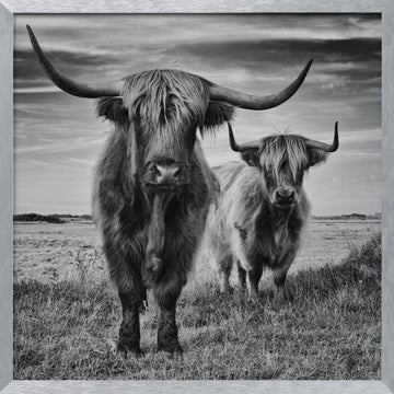 Highlands | Poster - Silver Frame Interior