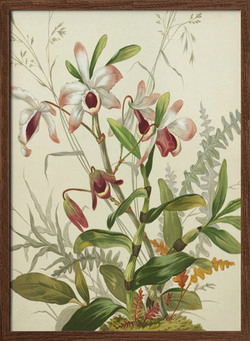 Flowers | Poster - Walnut Frame Interior