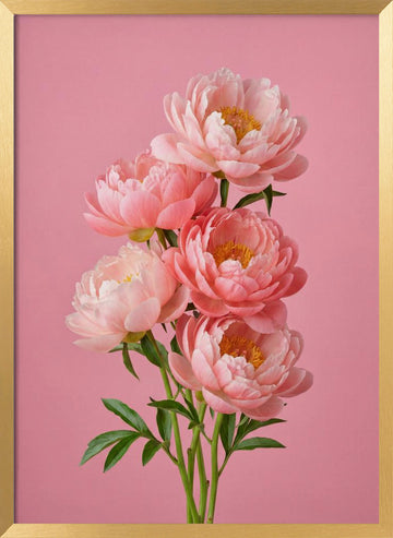 Delicate Pink Peonies | Poster - Gold Frame Interior
