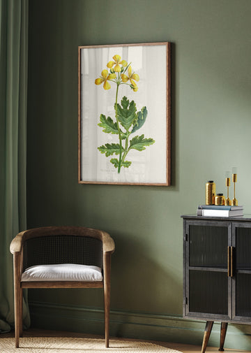 Vintage Celandine Botanical | Poster - Room Interior 2