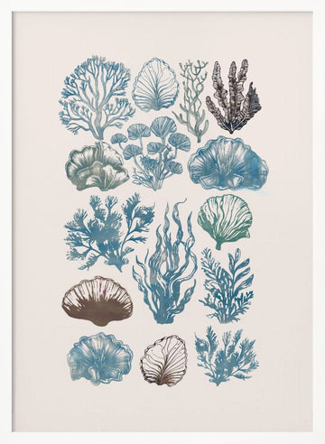 Vintage Marine Flora | Poster - White Frame Interior