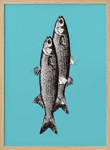 Vintage Fish Duo | Poster - Wood Frame Interior