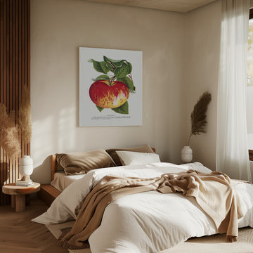 Wealthy Apple Lithograph | Canvas - Room Interior 2