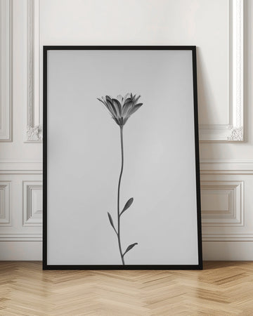Elegant Floral Silhouette | Poster - Room Interior 1