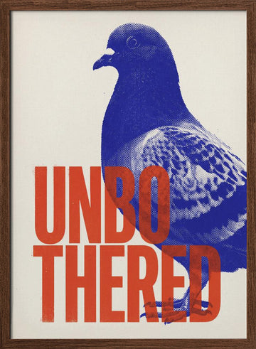 Unbothered Pigeon | Poster - Walnut Frame Interior