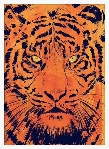 Intense Tiger Gaze | Poster - White Frame Interior