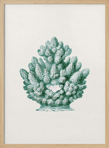 Teal Ocean Coral | Poster - Wood Frame Interior