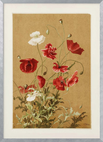 Poppies No. 3 By Ellen Thayer Fisher | Poster - Silver Frame Interior