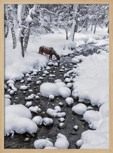 Snowy Forest Horse | Poster - Wood Frame Interior