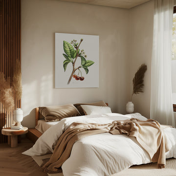 Sweet Cherry Botanical Branch | Canvas - Room Interior 2