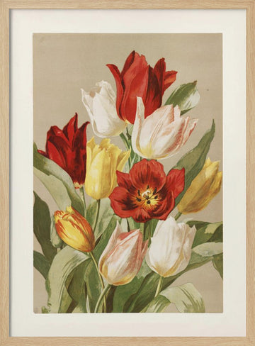 Tulips By Ellen Thayer Fisher | Poster - Wood Frame Interior