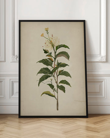 Elegant Botanical Bloom | Poster - Room Interior 1
