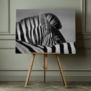 Elegant Zebra Profile | Canvas - Room Interior 1