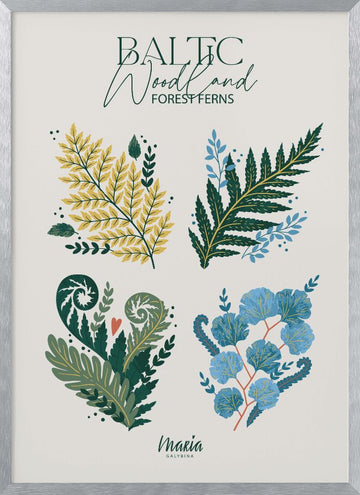 Baltic Woodland Ferns | Poster - Silver Frame Interior