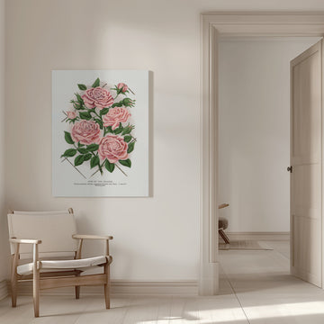 Pink Rose, Gem of the Prairie Lithograph | Canvas - Room Interior 1