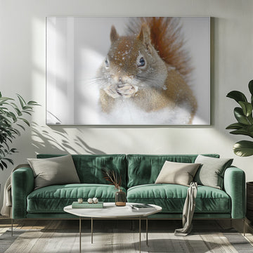 Red Squirrel In Snow | Poster - Room Interior 1