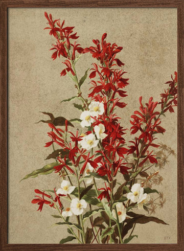 Cardinal Flowers | Poster - Walnut Frame Interior