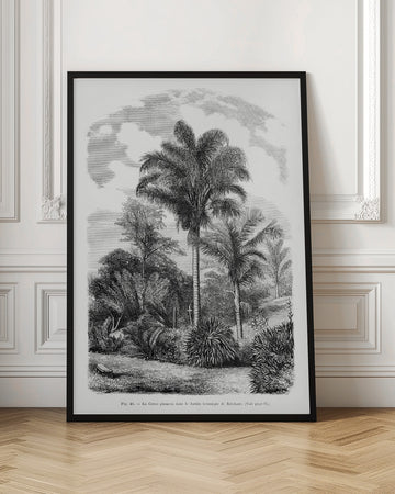 Vintage Palm Tree Drawing Vi | Poster - Room Interior 1