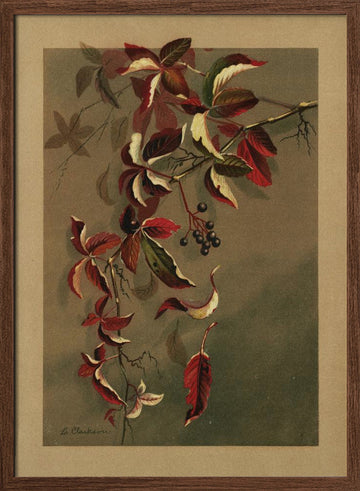 Autumn Leaves With Black Berries | Poster - Walnut Frame Interior