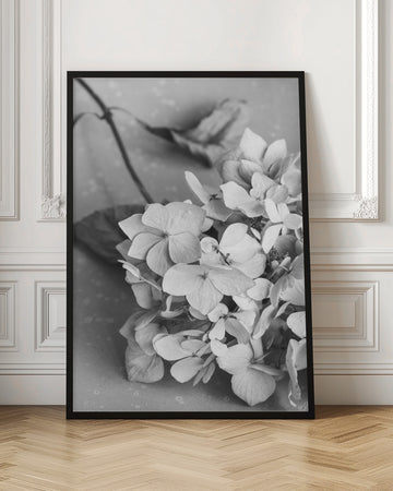 Monochrome Hydrangea Still Life | Poster - Room Interior 1