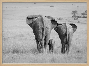 African Elephant Family | Poster - Wood Frame Interior