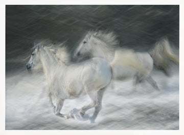 Dreamy White Horses | Poster - White Frame Interior