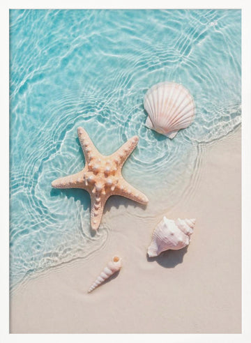 Starfish Seashells Shoreline | Poster - White Frame Interior
