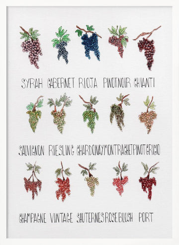 Wine Grape Varieties | Poster - White Frame Interior