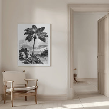 Vintage Palm Tree Drawing I | Canvas - Room Interior 1