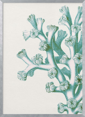 Serene Teal Coral | Poster - Silver Frame Interior