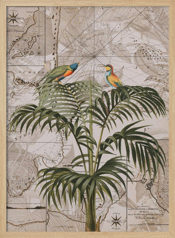 Tropical Birds Vintage Map | Poster - Wood Frame Interior