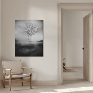 Misty Birch Reflection | Canvas - Room Interior 1