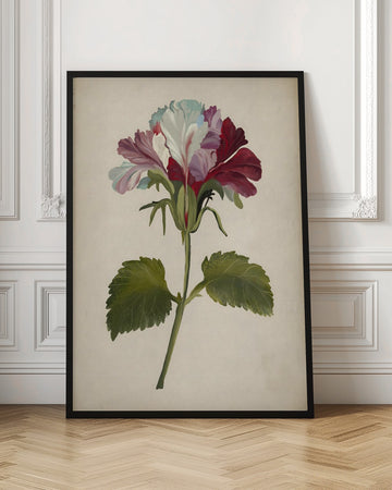 Vibrant Geranium Bloom | Poster - Room Interior 1