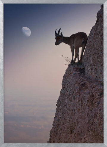 Mountain Goat Moonrise | Poster - Silver Frame Interior