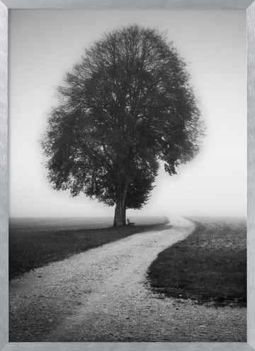 Foggy Path Lone Tree | Poster - Silver Frame Interior
