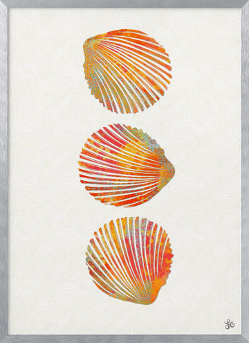Vibrant Seashells | Poster - Silver Frame Interior