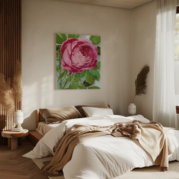 Pink Rose, Mrs John Laing Lithograph | Canvas - Room Interior 2